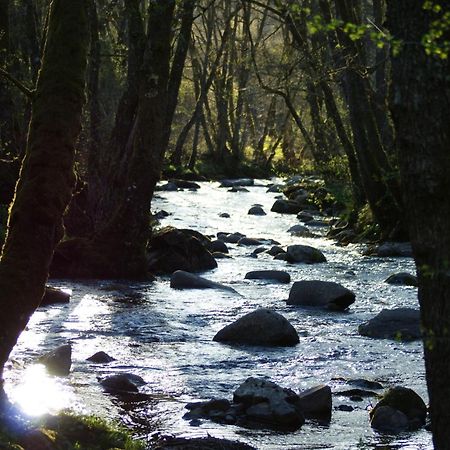Le Gite De Chomet La Tour d'Auvergne Bagian luar foto
