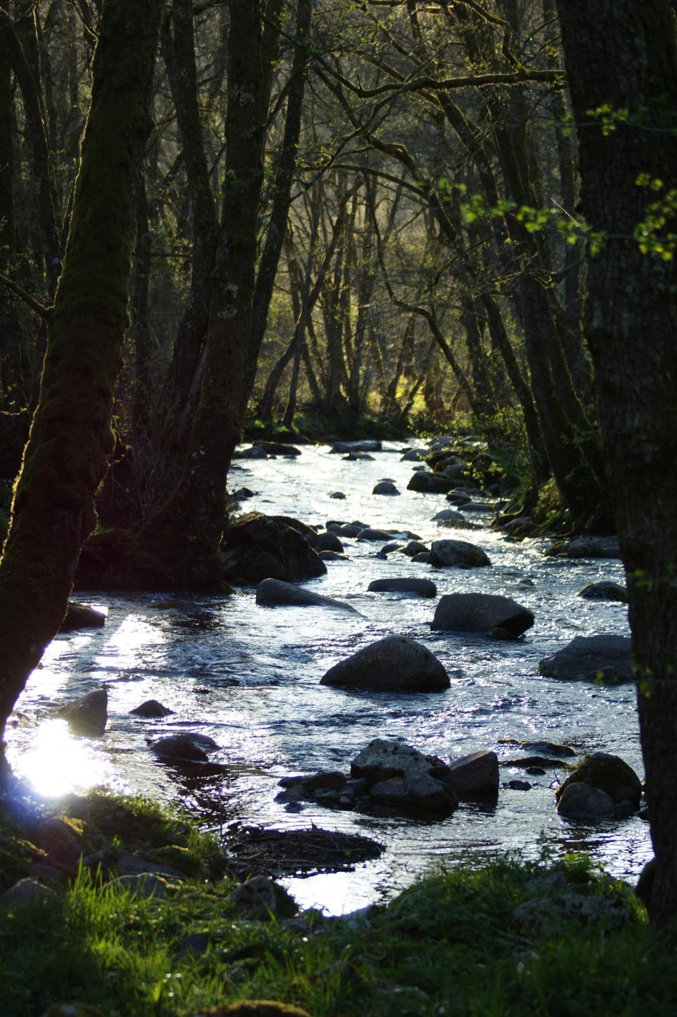 Le Gite De Chomet La Tour d'Auvergne Bagian luar foto